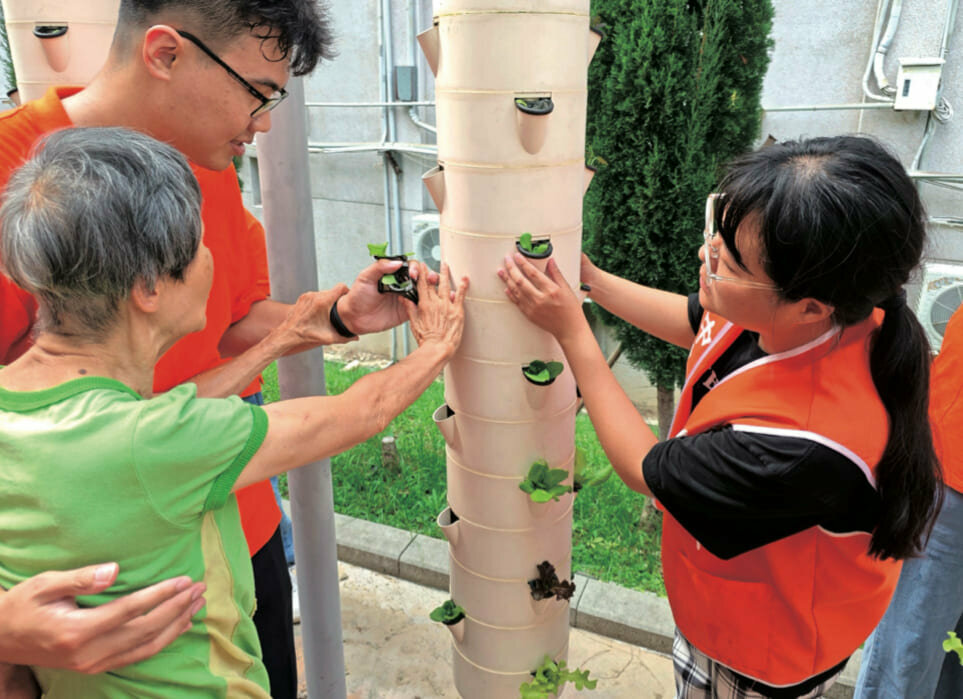 長輩親手栽種水耕蔬菜，包括放置幼苗和添加營養液，21天快速收成可給予心靈療癒與成就感。(圖片來源/謙和賀日照中心)