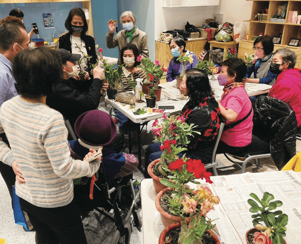 台灣居護提供長者植裁等多樣性的課程與活動。(攝影/劉國泰)