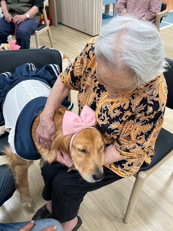 療癒犬是很好的聽眾，提供了長輩們情緒最佳抒壓。(圖片來源/中化銀髮)