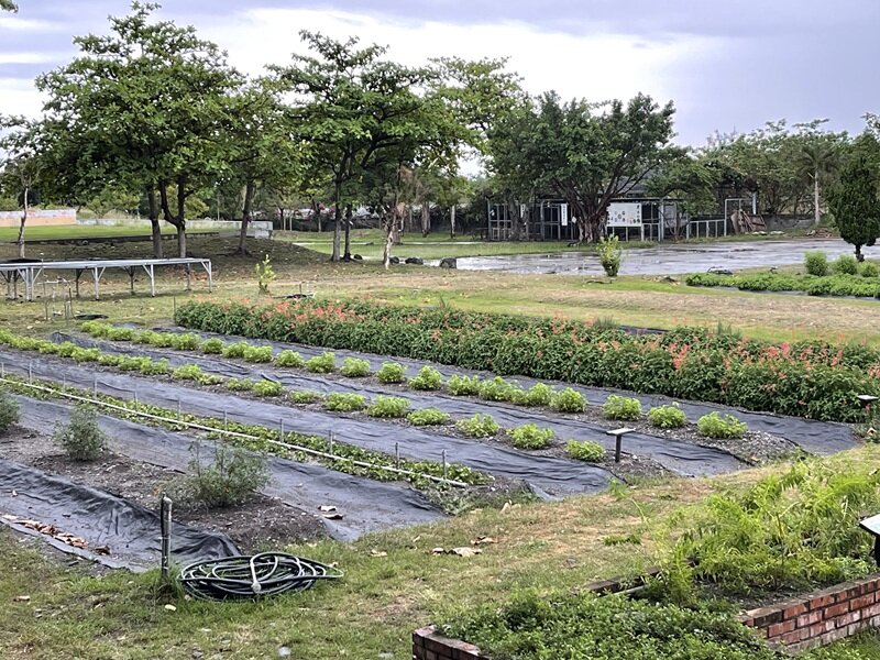 台東聖母醫院提倡芳香療法，高齡友善綠色照護園區內有聖賀德佳本草園。（攝影/戴淨妍）