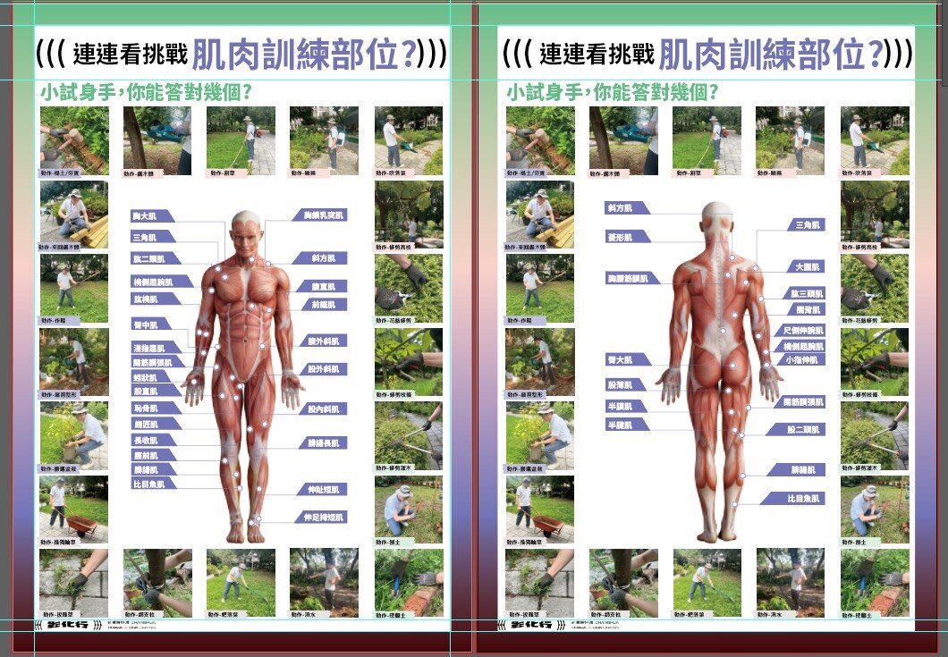 每一個園藝活動都能對應肌肉訓練。圖片來源／吳振發