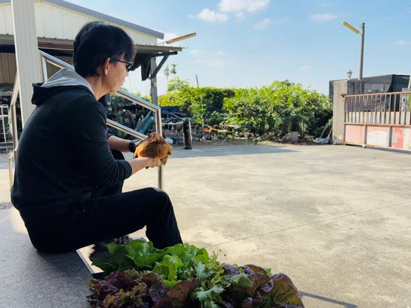 提前練習退休生活，可先從買個盆子在陽台嘗試開始種菜。(圖片來源/林金立)