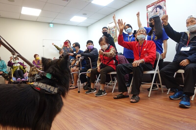 讓長輩與「狗老師」互動，有助於延緩老化、維持肌力，幫助長輩情緒平穩，還能達成社交訓練，伴隨而來的療育效果甚至超乎想像。（圖片來源／金大心日照中心）