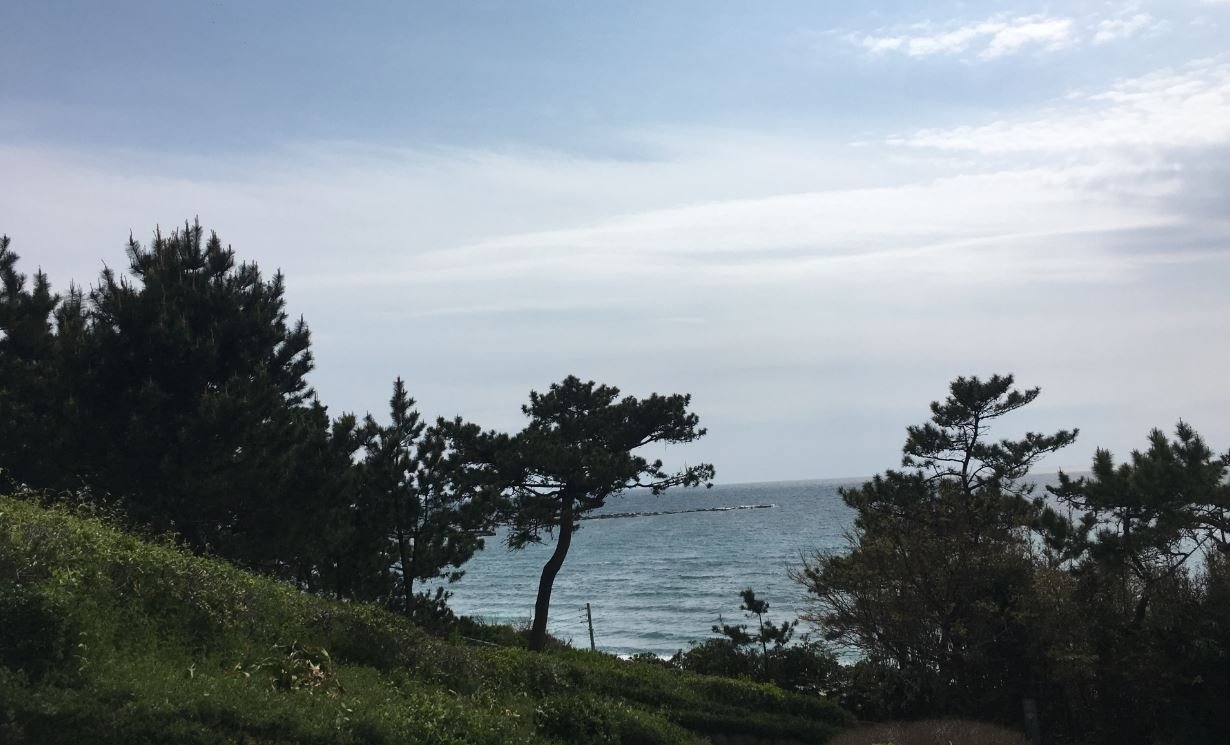 書摘 | 善終守護師 - 武雄教我懂得「共鳴」