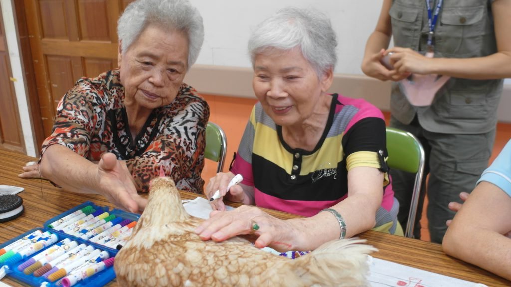 毛小孩成治療師   療癒雞、狗醫生與療癒兔暖心陪伴社區