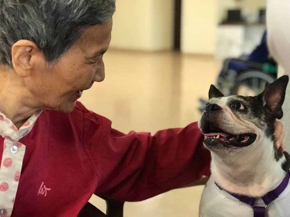 仁馨樂活園區 - 安可創新長照