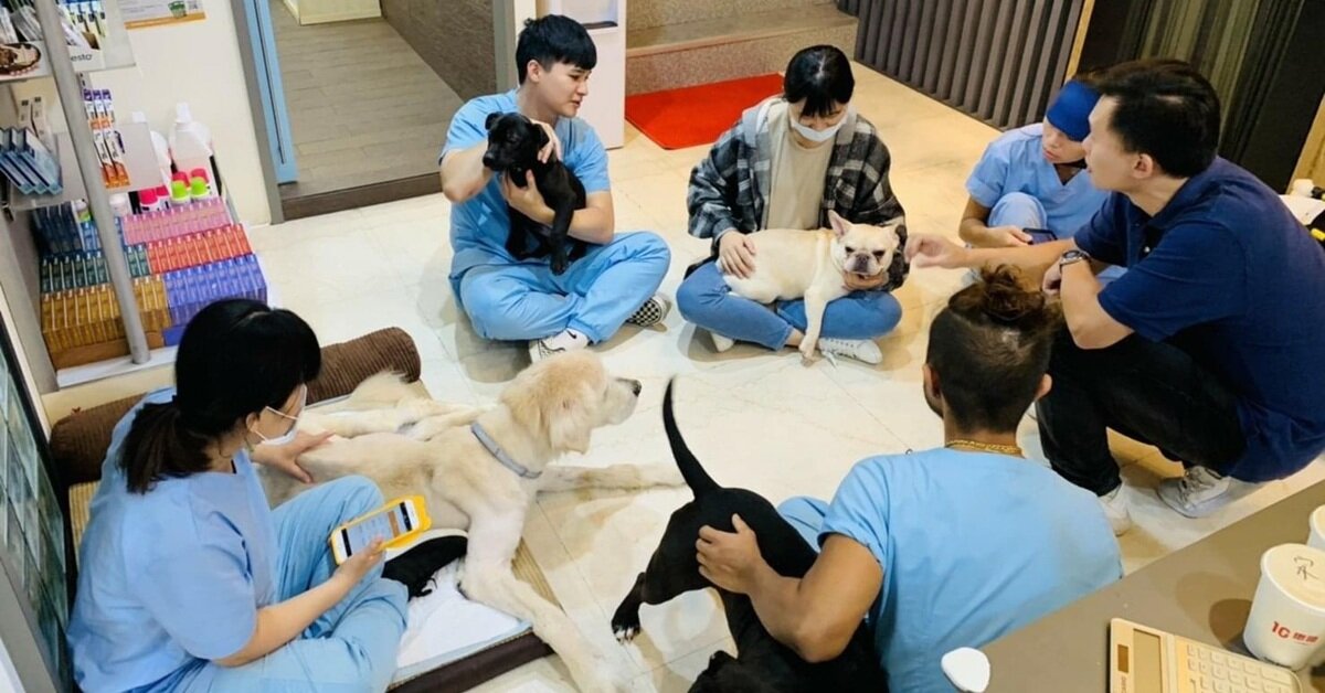 寵物長照第1家 寵樂動物醫院 讓人與寵物都能得到喘息