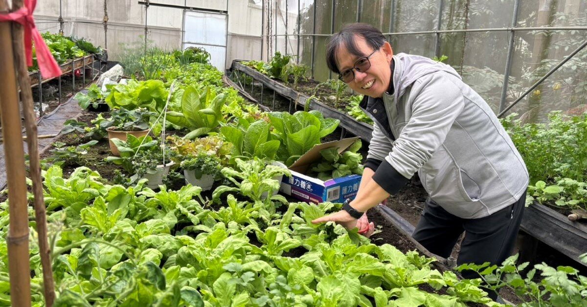 【林金立專欄】退休鄉居快活自在的秘訣