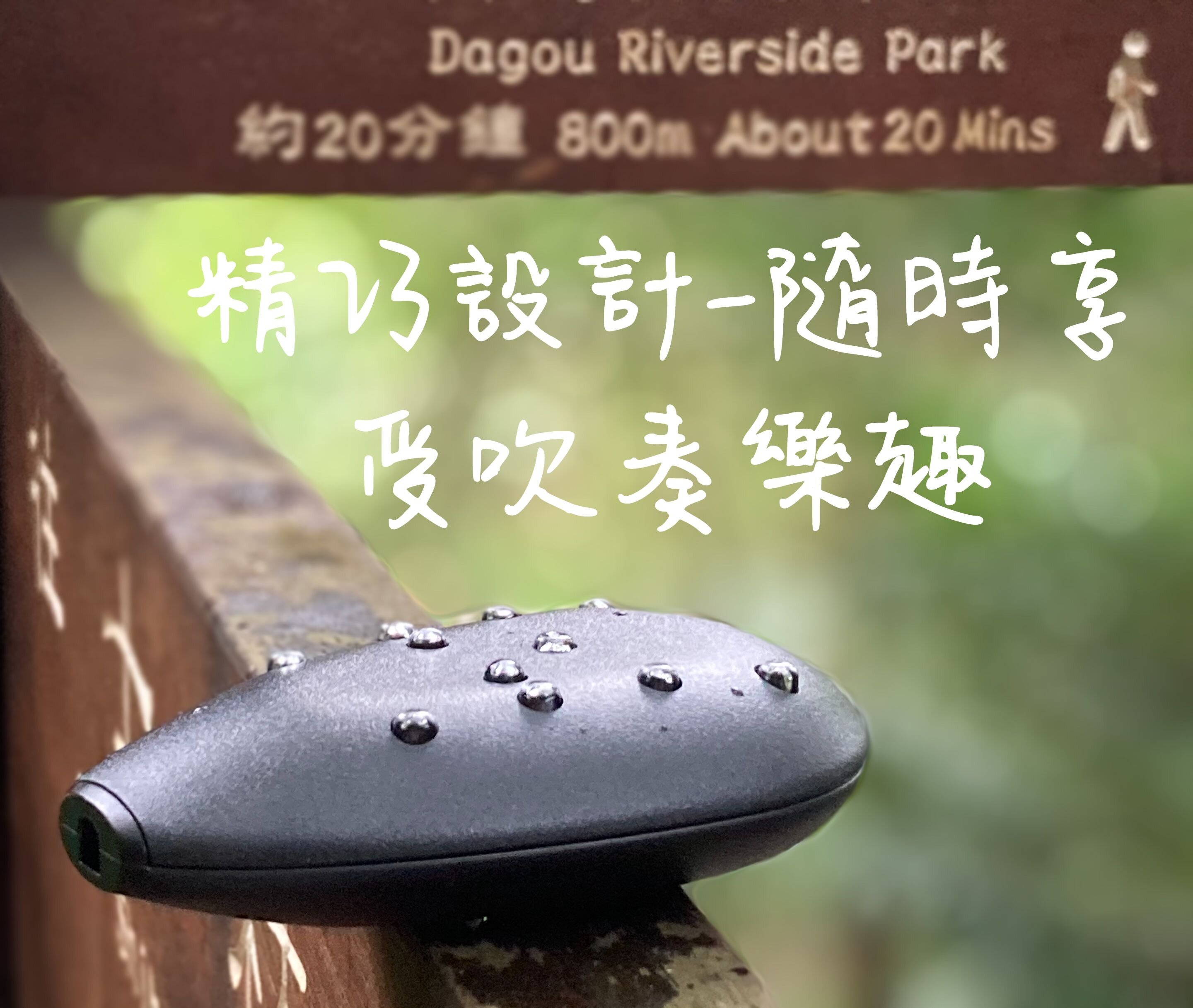 陶樂笛